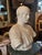 Unknown, The Charioteer of Delphi, 19th Century, Plaster For Sale - Image 6 of 14