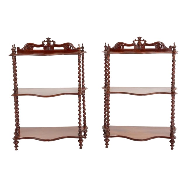 Victorian Whatnot Bookshelves in Mahogany, 1870s, Set of 2 For Sale