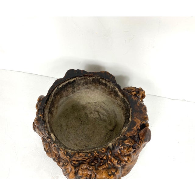 Late 19th Century Late 19th Century Hibachi Tree Root For Sale - Image 5 of 5