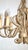 Wrought Iron Ceiling Lamp from Koch & Sons, 1960s For Sale - Image 10 of 10