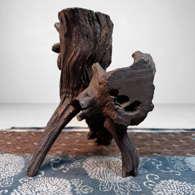 Antique Japanese Root Wood Ikebana Display, 1900s For Sale - Image 6 of 12