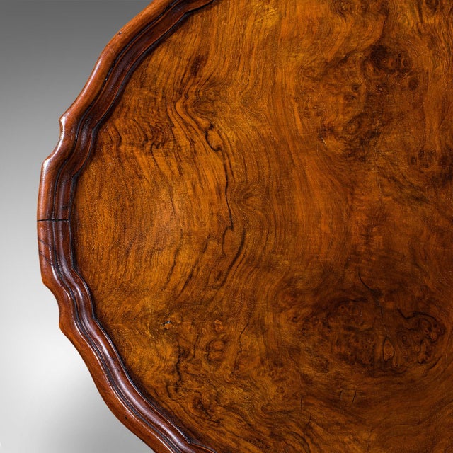 Brown Antique Oval Side Table, English, Burr Walnut, Lamp, Wine, Pie Crust, Edwardian For Sale - Image 8 of 12