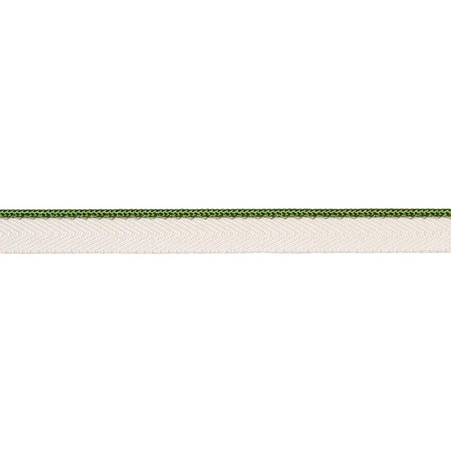 Sample - Schumacher Gustave Silk Lip Cord Narrow Trim In Green For Sale