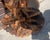 Late 20th Century Small Rustic Root Base Oval Side Table Cabin Cottage For Sale - Image 9 of 12
