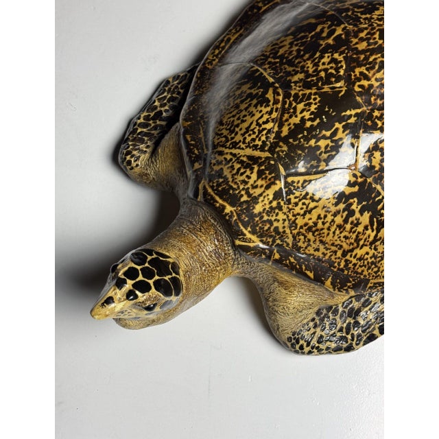Realistic Plastic Turtle For Sale - Image 5 of 18