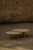 Nahele Varnished Oak Nesting Tables by La Lune, Set of 2 For Sale - Image 17 of 18