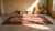 Charming Ivory Background and Red Border With Allover Pattern Antique Persian Rug For Sale - Image 11 of 11