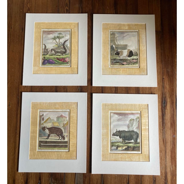 Beautiful set of 4 matted 19th century color engravings by Georges-Louis Leclerc de Buffon. Thèse are placed in excellent...