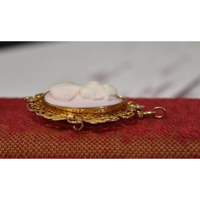 Antique 14k Conch Shell Cameo With Seed Pearls Brooch and Pendant For Sale In Philadelphia - Image 6 of 13