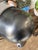 Vintage Wall Lamp by Jean-Louis Domecq for Jieldé, 1950s For Sale - Image 6 of 18