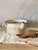 Beige Early 20th Century Italian Wabi-Sabi Basin For Sale - Image 8 of 11