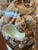 Metal Vintage Coastal Glass Ginger Jar Shell Lamps - Five Available For Sale - Image 7 of 8