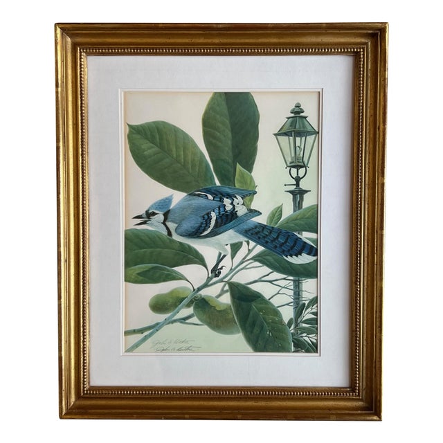 John A. Ruthven "Bluejay" Lithograph- Signed For Sale