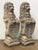 Pair of Cast Stone Armorial Lion Garden Statues From England - Two Available For Sale In Austin - Image 6 of 15