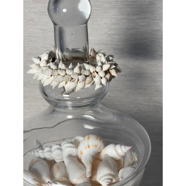 Shell Vintage Large Glass Jars With Sea Shells For Sale - Image 7 of 12