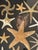 1970s Vintage Sea Stars Collection in a Shadow Box Greeting From Florida For Sale - Image 5 of 11