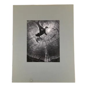 “Old Tree Stump” Dean W Hand 1962 Black and White Modernist Photograph