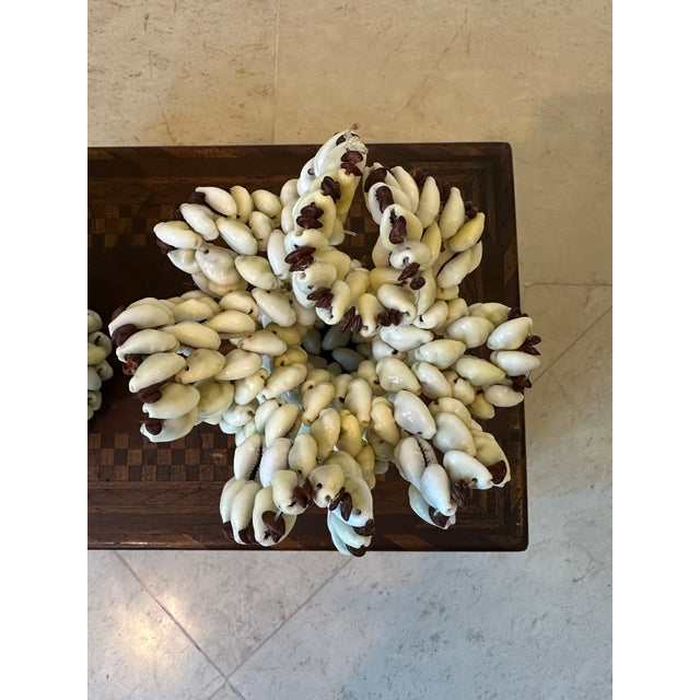 Off-white Vintage 1970’s Seashell Candleholders - A Pair For Sale - Image 8 of 11