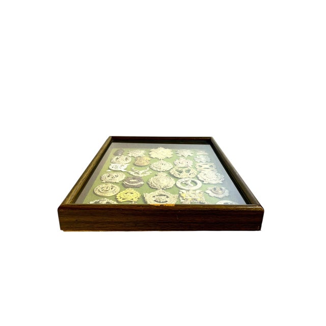 Antique Victorian Shadow Box Framed Set of 29 Scottish Military Regimental Badges For Sale - Image 4 of 18