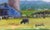 Petaluma Blue Barn & Cow Oil Painting For Sale In Reno/Lake Tahoe - Image 6 of 10