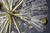 Sputnik Chandelier by Emil Stejnar, 1950s For Sale - Image 12 of 16