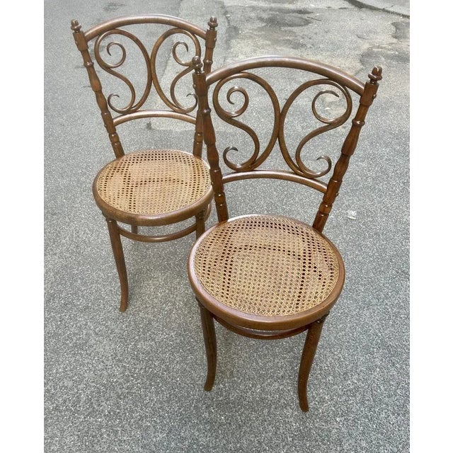 Sedia Dining Chair by Michael Thonet for Thonet For Sale - Image 6 of 6