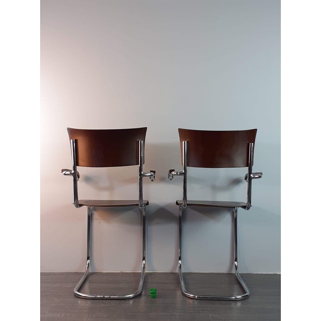 1930s Cantilever Chairs from Mücke Melder, 1930s, Set of 2 For Sale - Image 5 of 13
