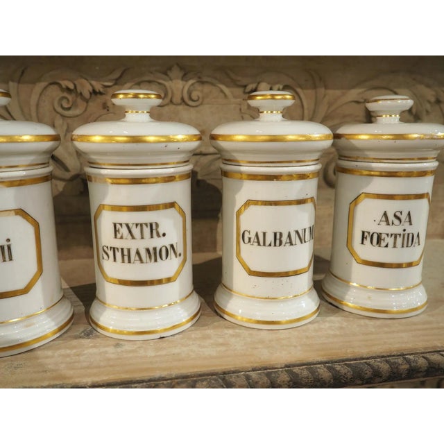 White Set of 10 French Hand Painted Porcelain Apothecary Jars, 1900s For Sale - Image 8 of 15