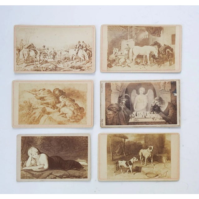 Antique Collection Grand Tour Horse Dogs Artwork Photographs - Set of 6 For Sale In Seattle - Image 6 of 6
