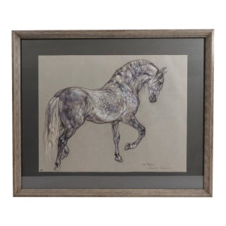 Horse Pastel by Leslie Charlotte Benenson of Stallion 'Lebrijano' , an Andalusian Horse, Dated 20th August 1995 For Sale
