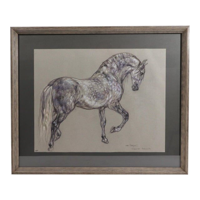 Horse Pastel by Leslie Charlotte Benenson of Stallion 'Lebrijano' , an Andalusian Horse, Dated 20th August 1995 For Sale