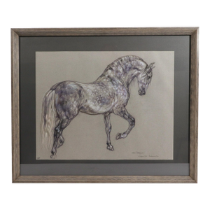 Horse Pastel by Leslie Charlotte Benenson of Stallion 'Lebrijano' , an Andalusian Horse, Dated 20th August 1995