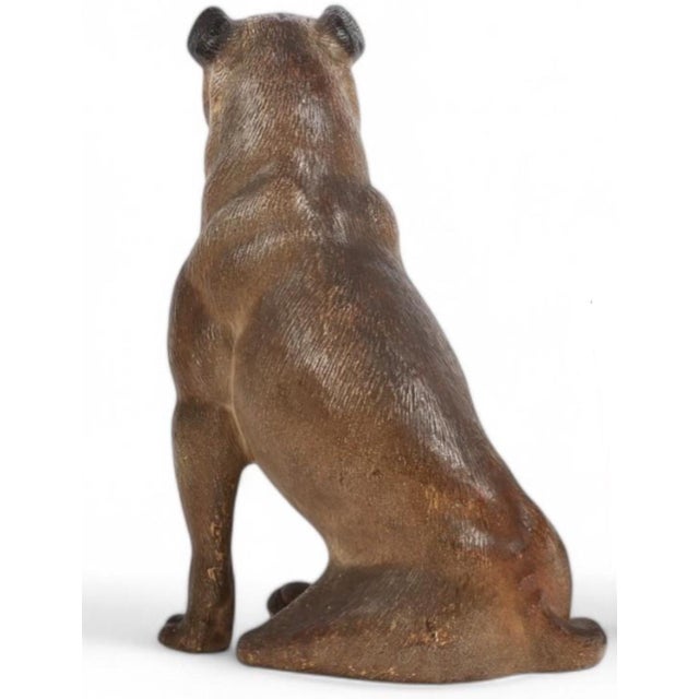 Large Antique Austrian Terracotta Pug Dog Sculpture W Glass Eyes.