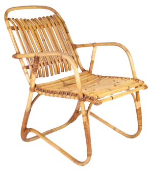 Mid-Century Rattan Lounge Chair, 1950s