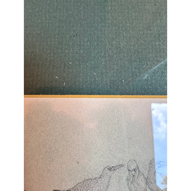 Green After Studer's Popular Ornithology: The Birds of North America Framed Color Lithograph Print Plate LXlX For Sale - Image 8 of 8