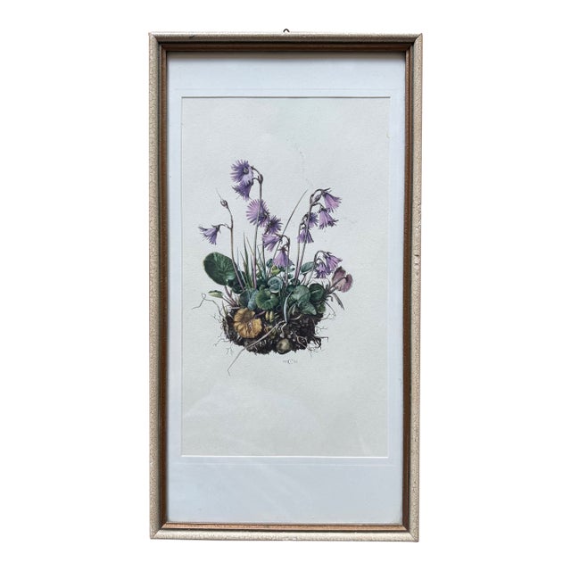Vintage Framed Botanical Lithograph Featuring Alpine Snowbells For Sale