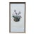 Vintage Framed Botanical Lithograph Featuring Alpine Snowbells For Sale