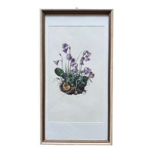 Vintage Framed Botanical Lithograph Featuring Alpine Snowbells