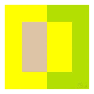 Two Toned Interactions, Lime Fine Art Print 46" X 46" by Liz Roache For Sale