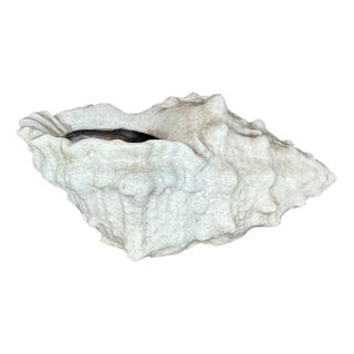 Vintage Coastal Crackle Glaze Conch Shell Planter For Sale