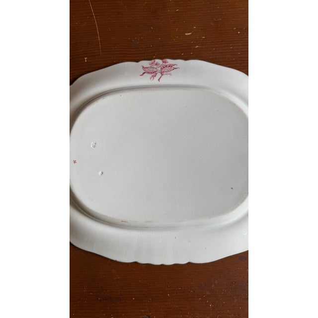 A Very Fine Antique Pink Transferware Decorated Staffordshire Pattern Platter "Asiatic Plants" Pattern, Circa 1840's For Sale - Image 11 of 11