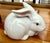 Late 20th Century Vintage Porcelain Bunny Rabbit by Fitz & Floyd For Sale - Image 5 of 10
