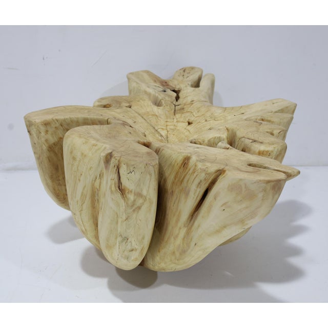 Mimi London Co. Large Single Cypress or Maple Trunk Table, Mimi London Style For Sale - Image 4 of 11