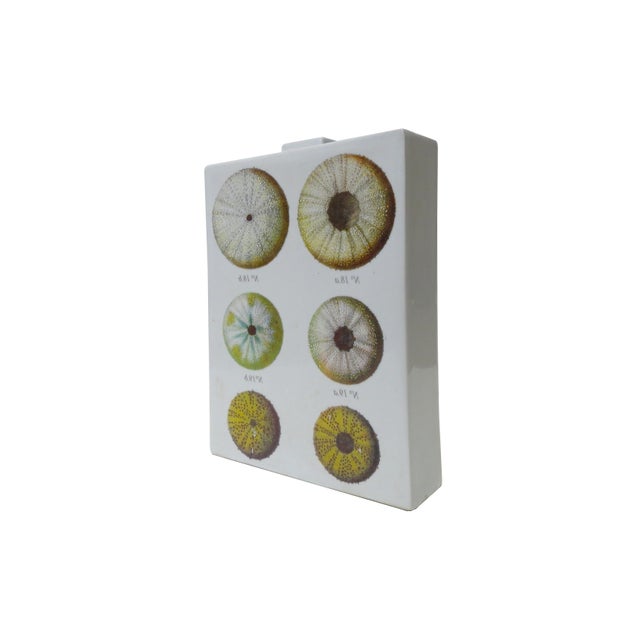 Fabienne Jouvin Paris 2-Sided Porcelain Jar/Vase - A Study of Sea Urchins For Sale In Madison - Image 6 of 12