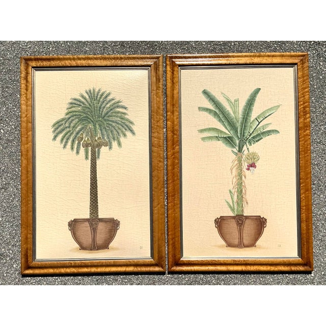 Vintage Coastal Prints - A Pair For Sale In West Palm - Image 6 of 12
