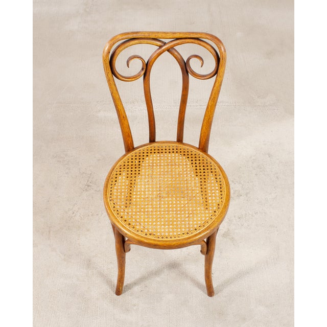Wood Pair of J & J Kohn Thonet Bentwood Cane Viennese Café Chairs For Sale - Image 7 of 17