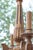 1950s French Neoclassical Five-Light Carved Wood Chandelier with Aged Gold Finish, 1950 For Sale - Image 5 of 8