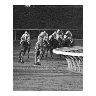 1968 Hollywood Park Horse Racetrack Photograph by Don Ware For Sale