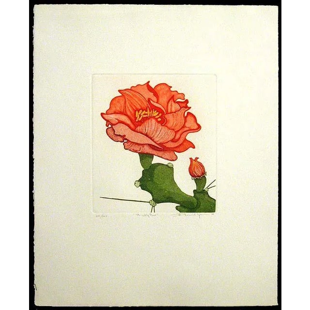 1980s Arnold Iger "Prickly Pear" Hand Signed & Numbered Etching, Cactus Flowers 1981 Unframed For Sale - Image 5 of 5