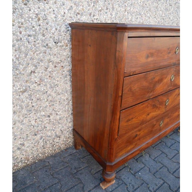 1920s Antique Walnut Chest of Drawers. 1900s For Sale - Image 5 of 18